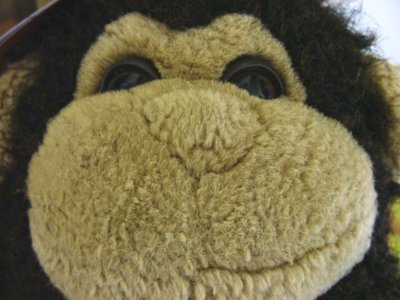 look its me baby lumps jackson pop